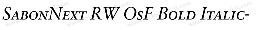 SabonNext RW OsF Bold Italic字体转换